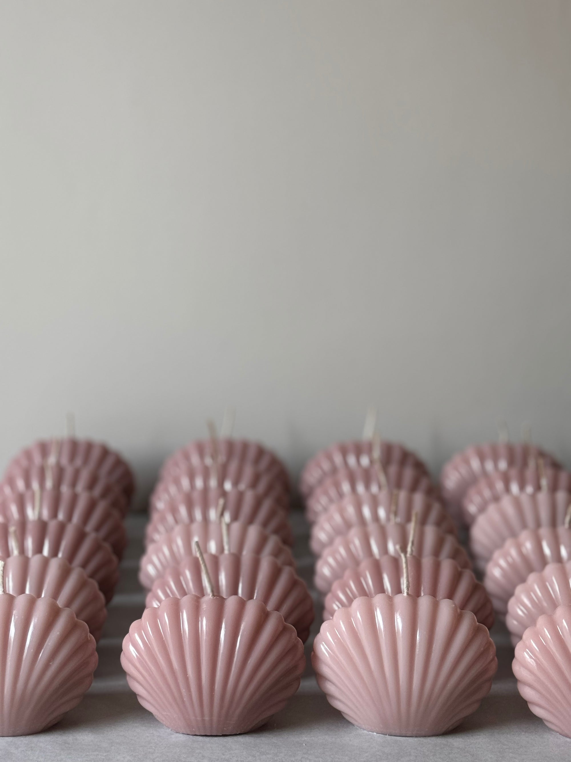 Shell Candle - Pink - Μπομπονιέρα